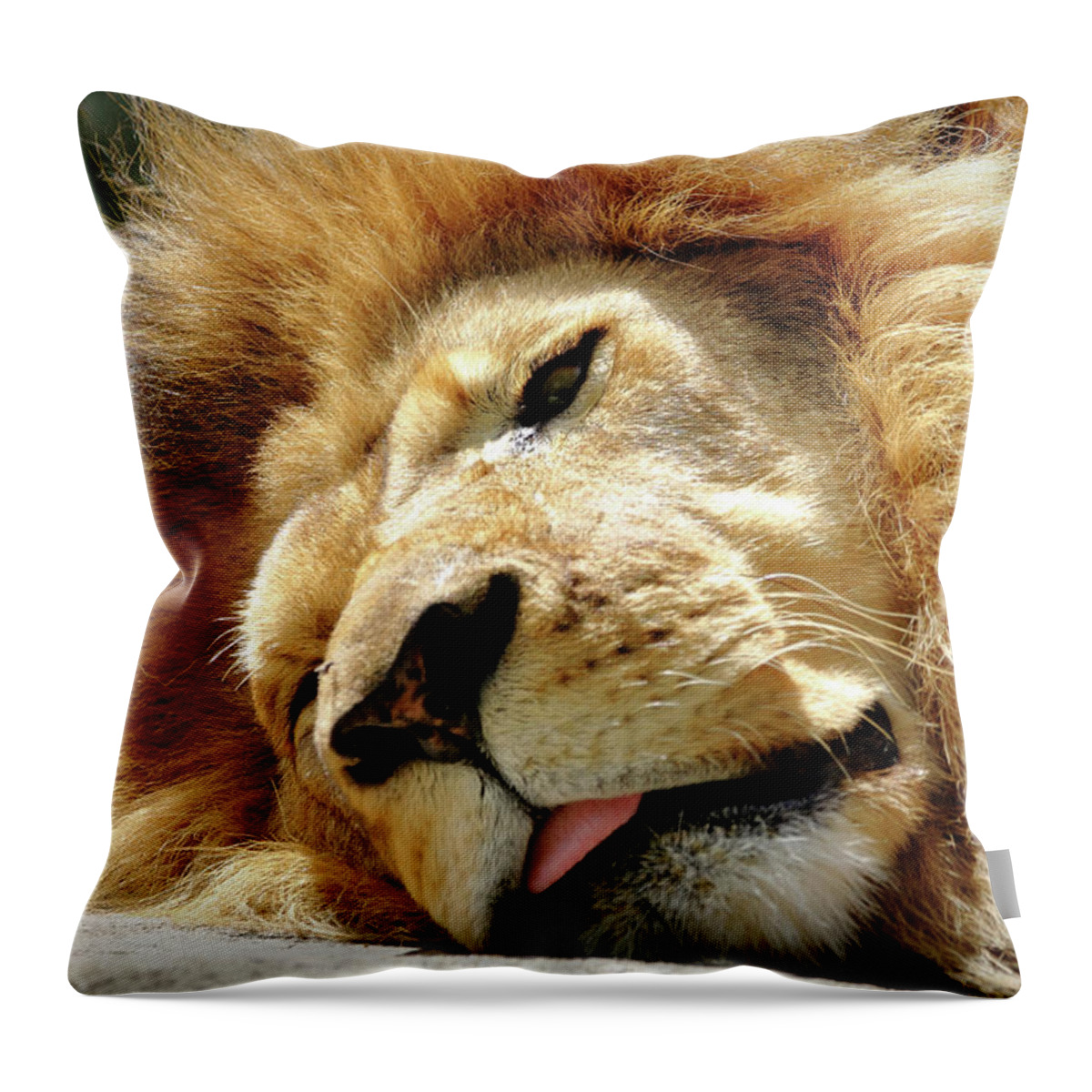 Lion Throw Pillow featuring the photograph Just Lion Around by Lens Art Photography By Larry Trager