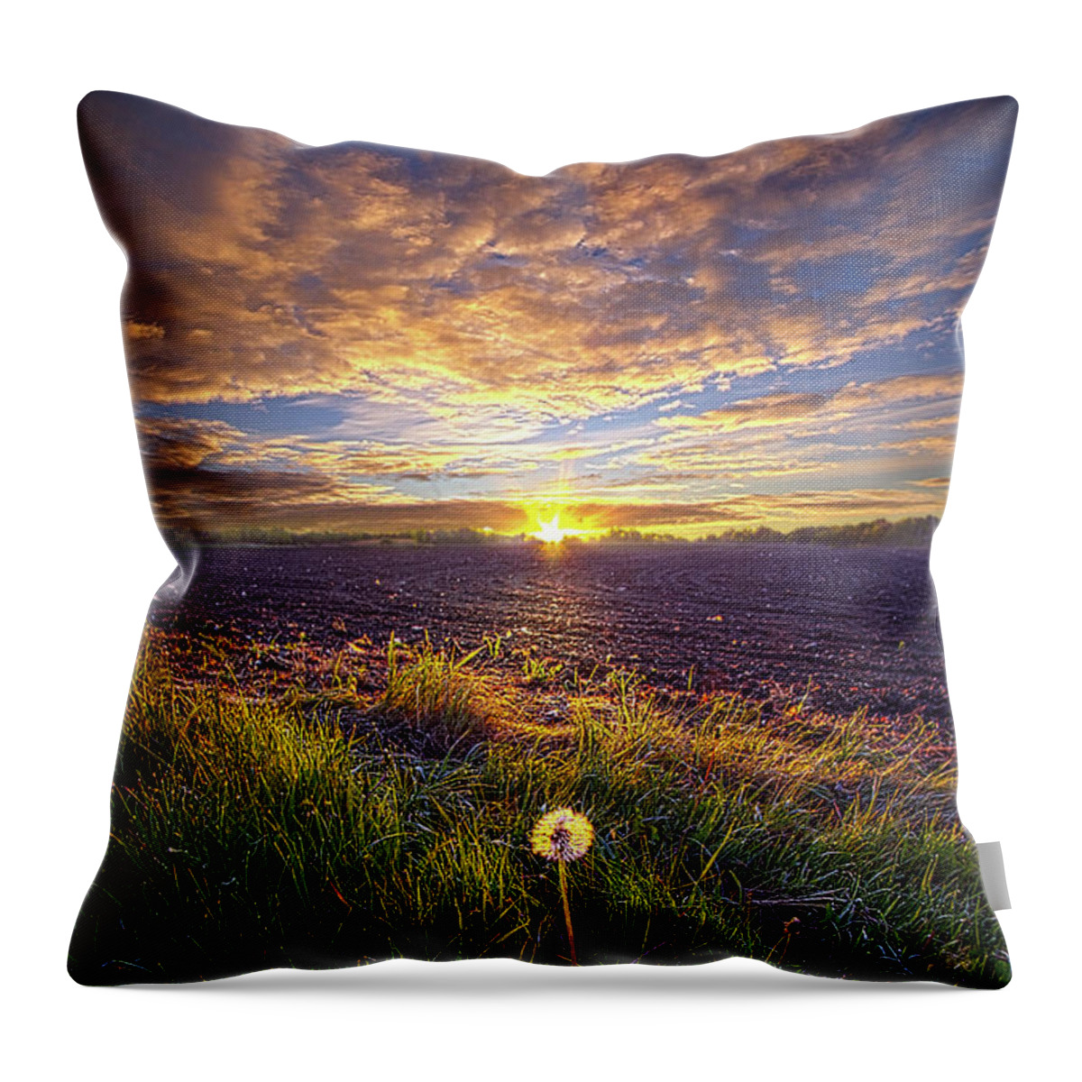 Fineart Throw Pillow featuring the photograph Just One Can Lead To Many by Phil Koch