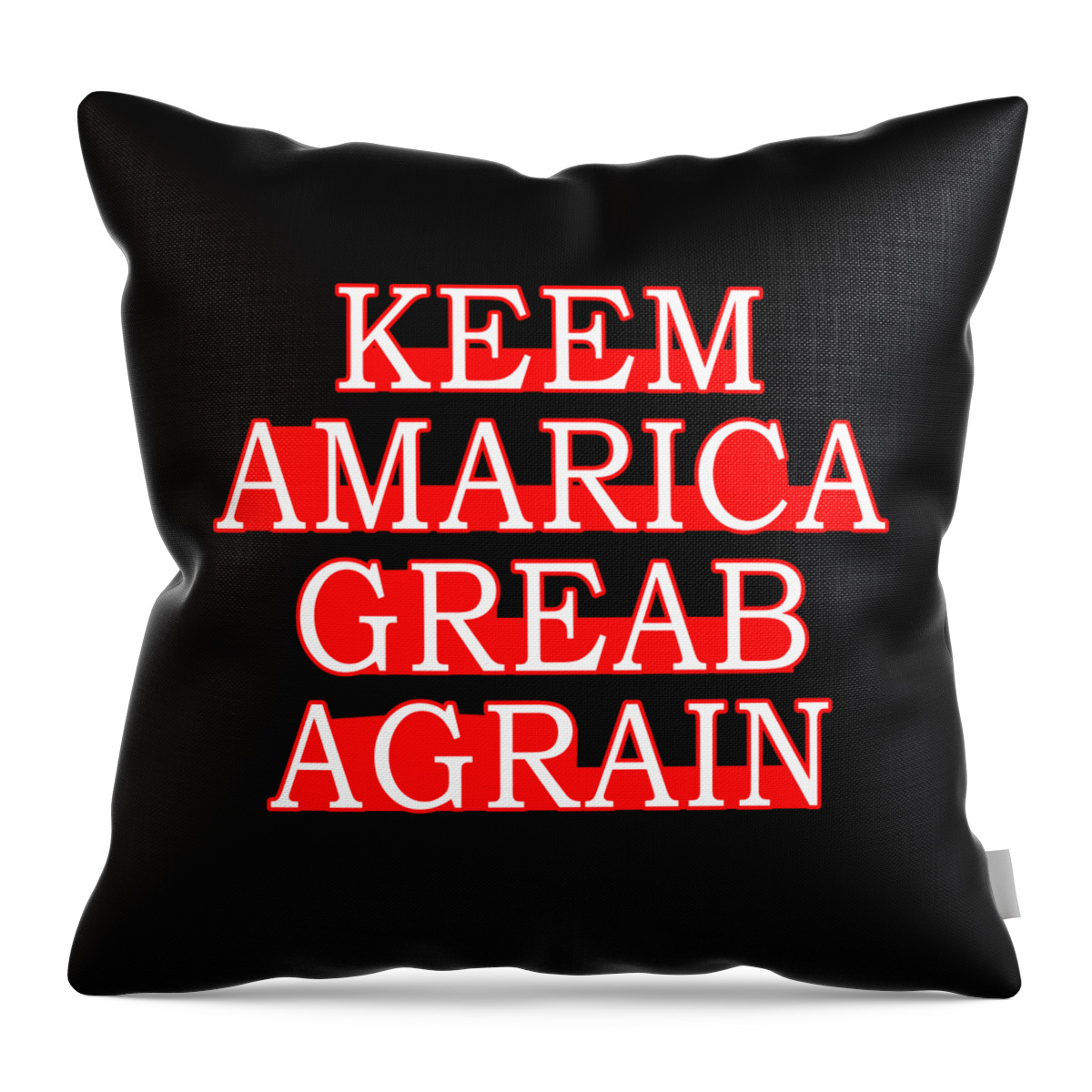 Democrat Throw Pillow featuring the digital art Keem Amarica Greab Agrain Misspelled Anti Trump by Flippin Sweet Gear