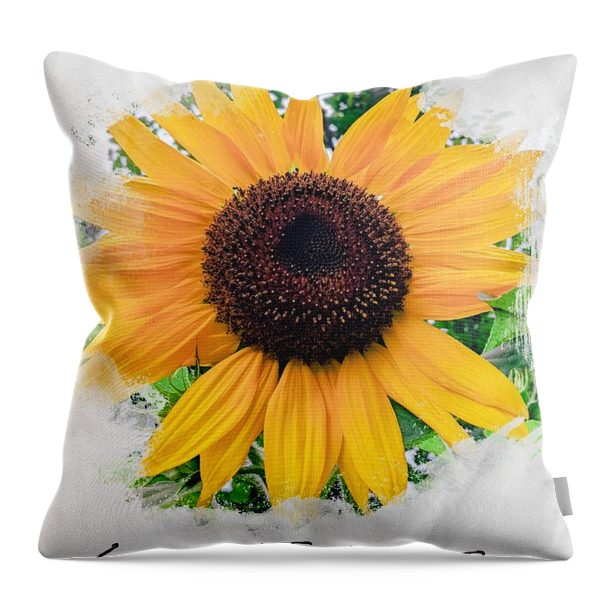 Sunflower Throw Pillow featuring the photograph Keep Your Face To The Sunshine by Claudia Zahnd-Prezioso