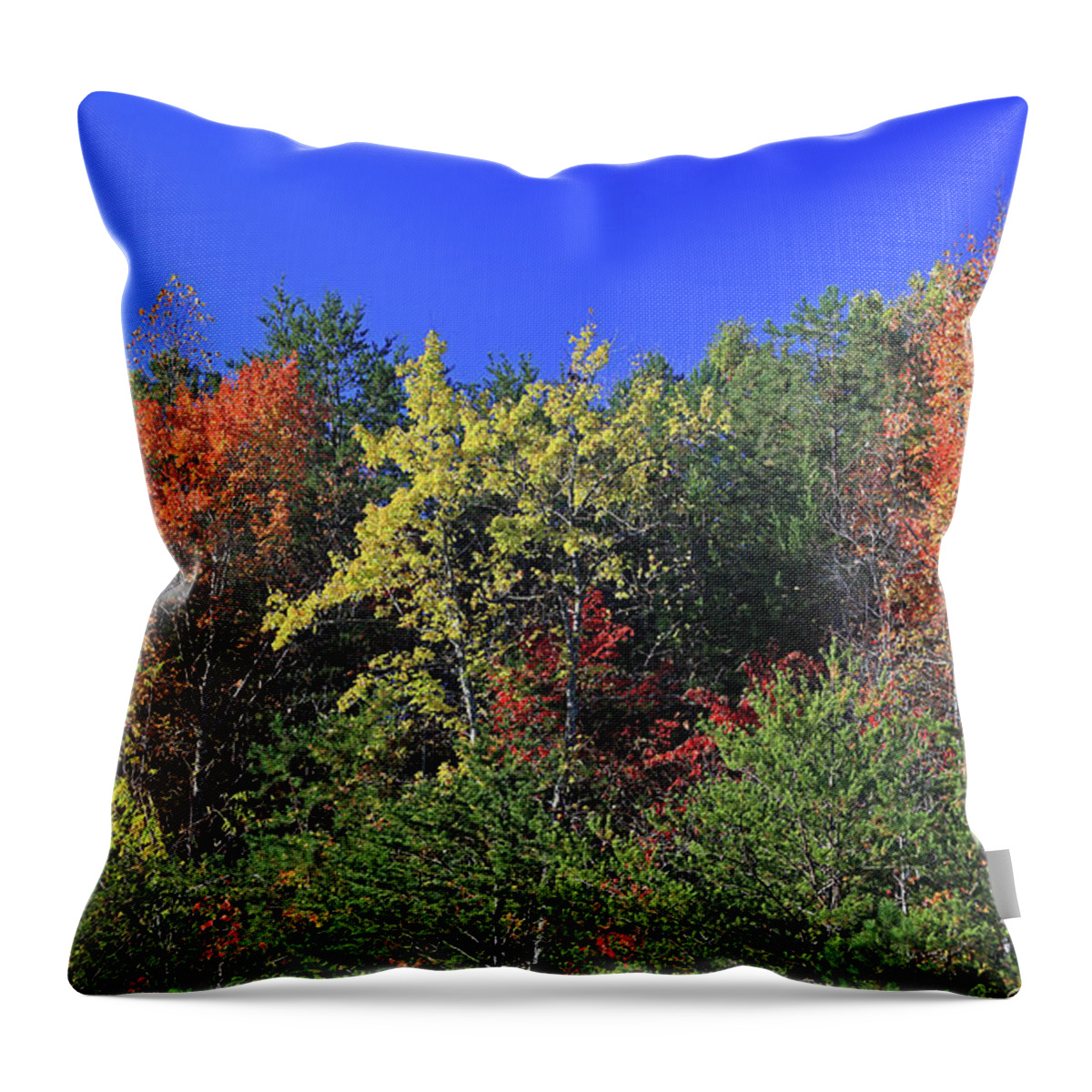 Autumn Throw Pillow featuring the photograph Keno Colors by Gary Kaylor