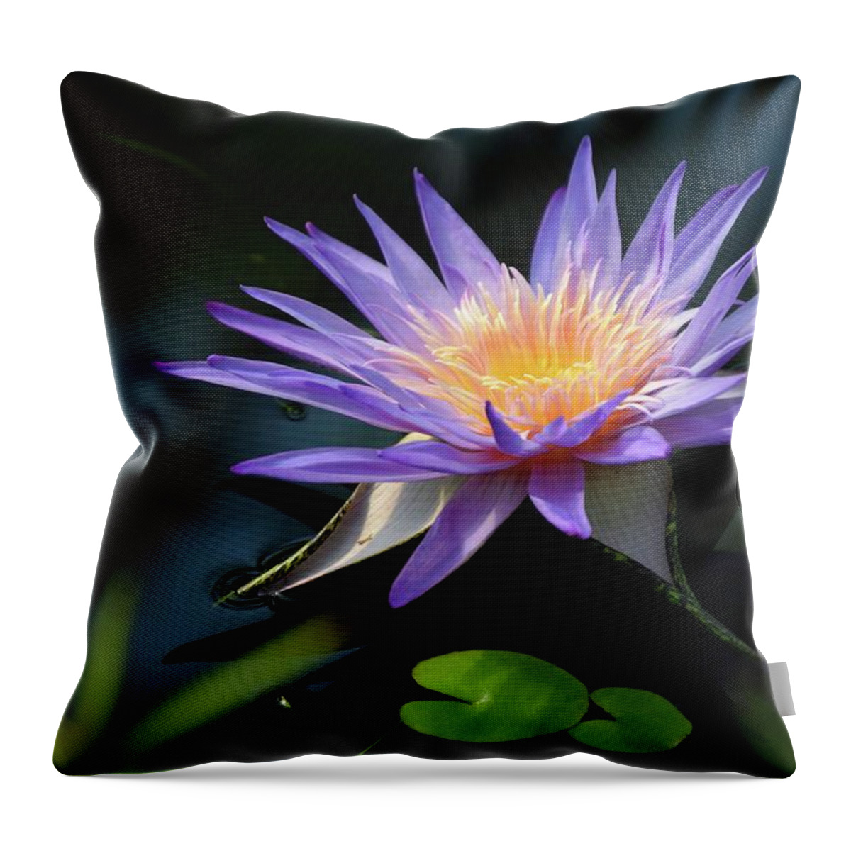 Water Lily Throw Pillow featuring the photograph Kew Water Lily Too by Terry M Olson