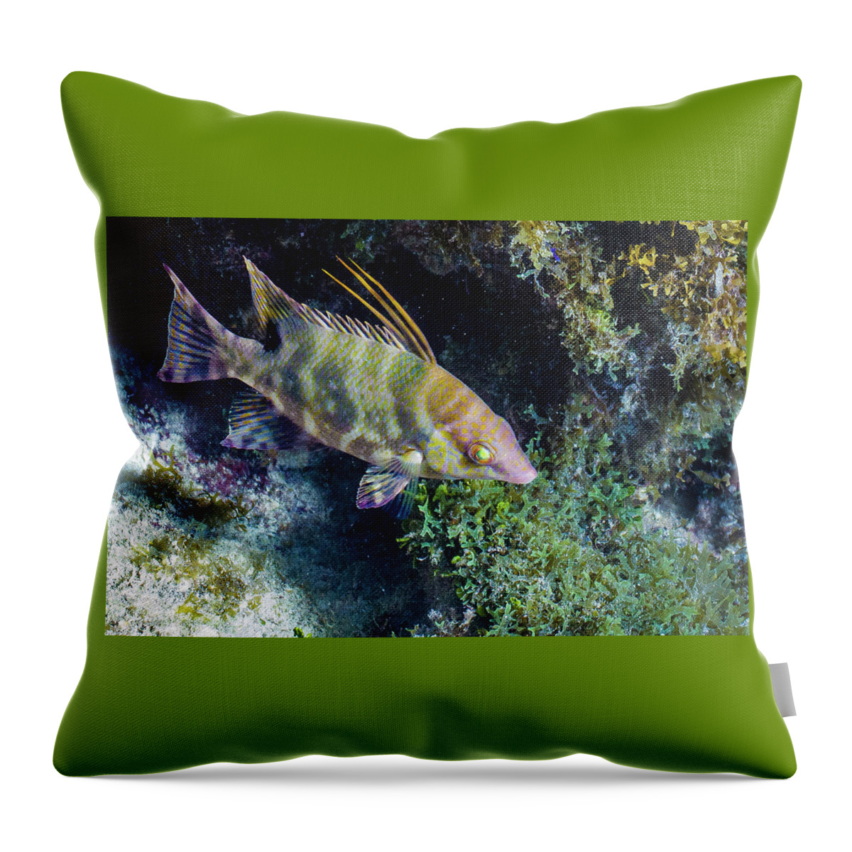 Animals Throw Pillow featuring the photograph Keys Mascot by Lynne Browne