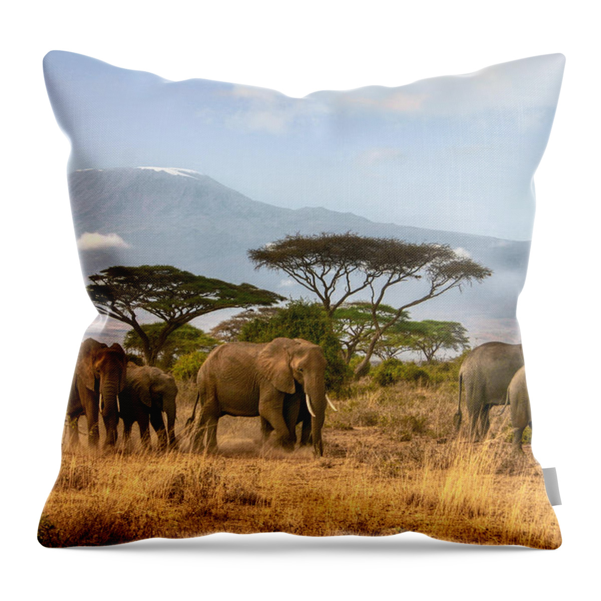 Elephant Throw Pillow featuring the photograph Kilimanjaro Elephants by Gene Taylor