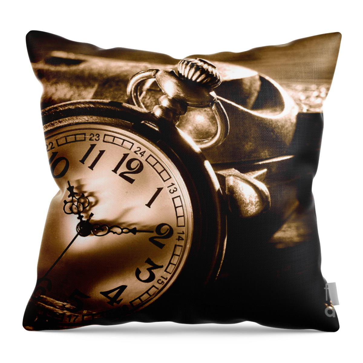 Pocket Throw Pillow featuring the photograph Killer Time - Sepia by Olivier Le Queinec