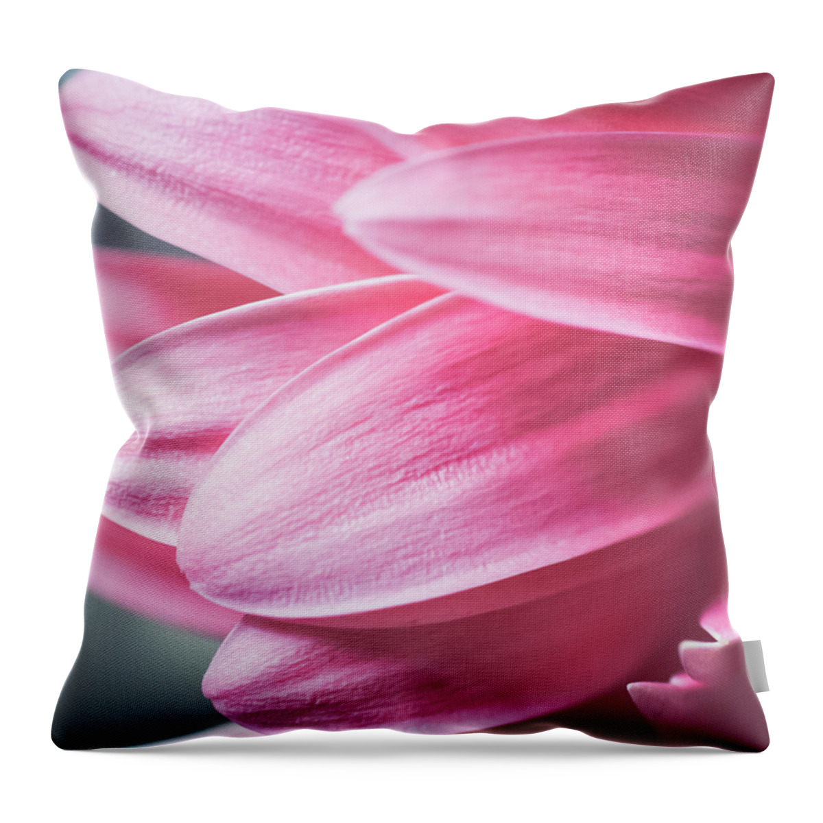 Almond Shaped Throw Pillow featuring the photograph Kindness Unafraid by Christi Kraft