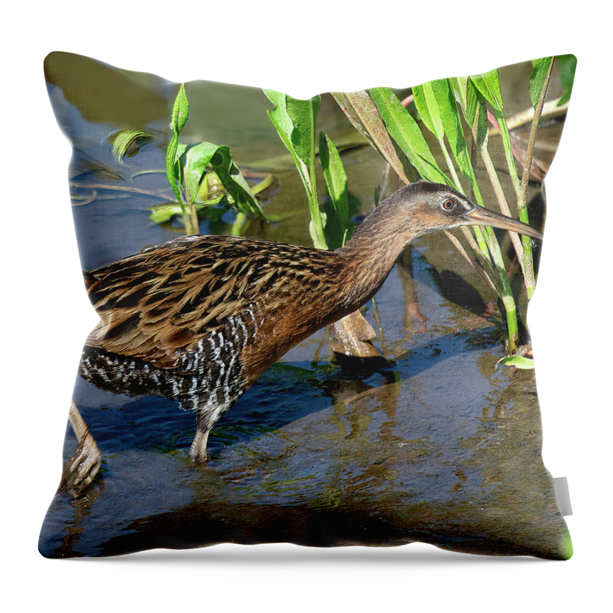 Nature Throw Pillow featuring the photograph King Rail DMSB0238 by Gerry Gantt