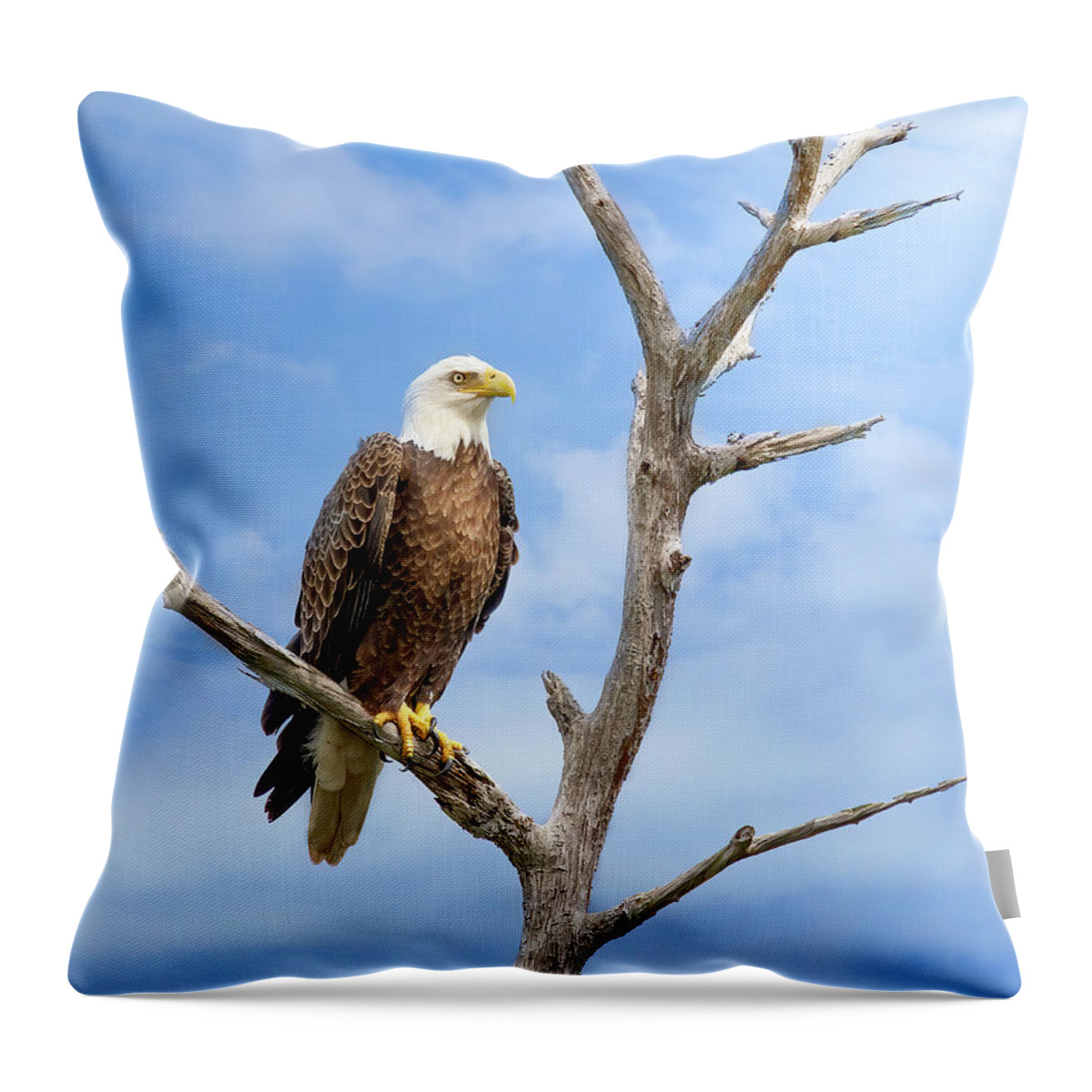 Eagle Throw Pillow featuring the photograph Kingdom of the Eagle by Mark Andrew Thomas