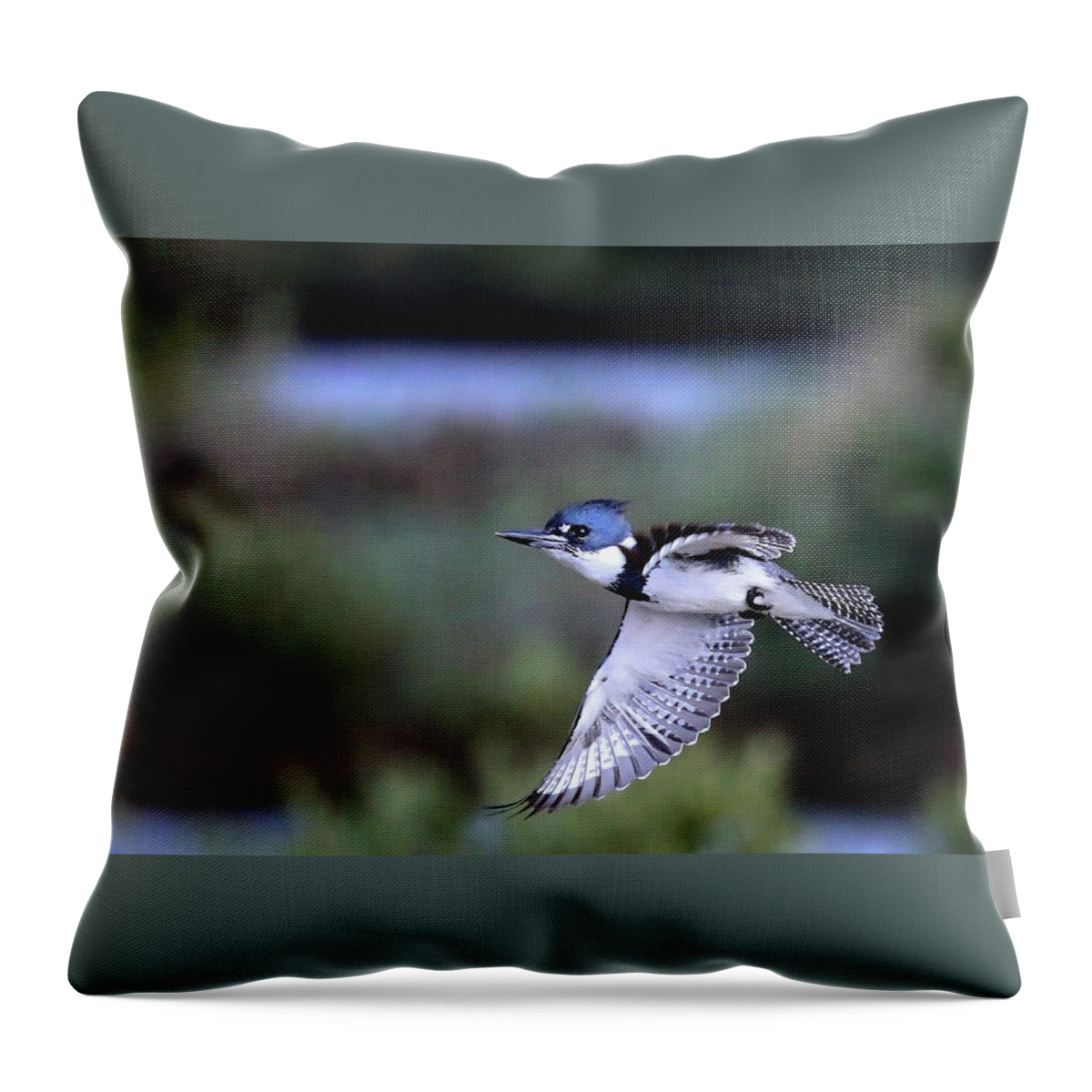 Kingfisher Throw Pillow featuring the photograph Kingfisher in Flight by Jaki Miller