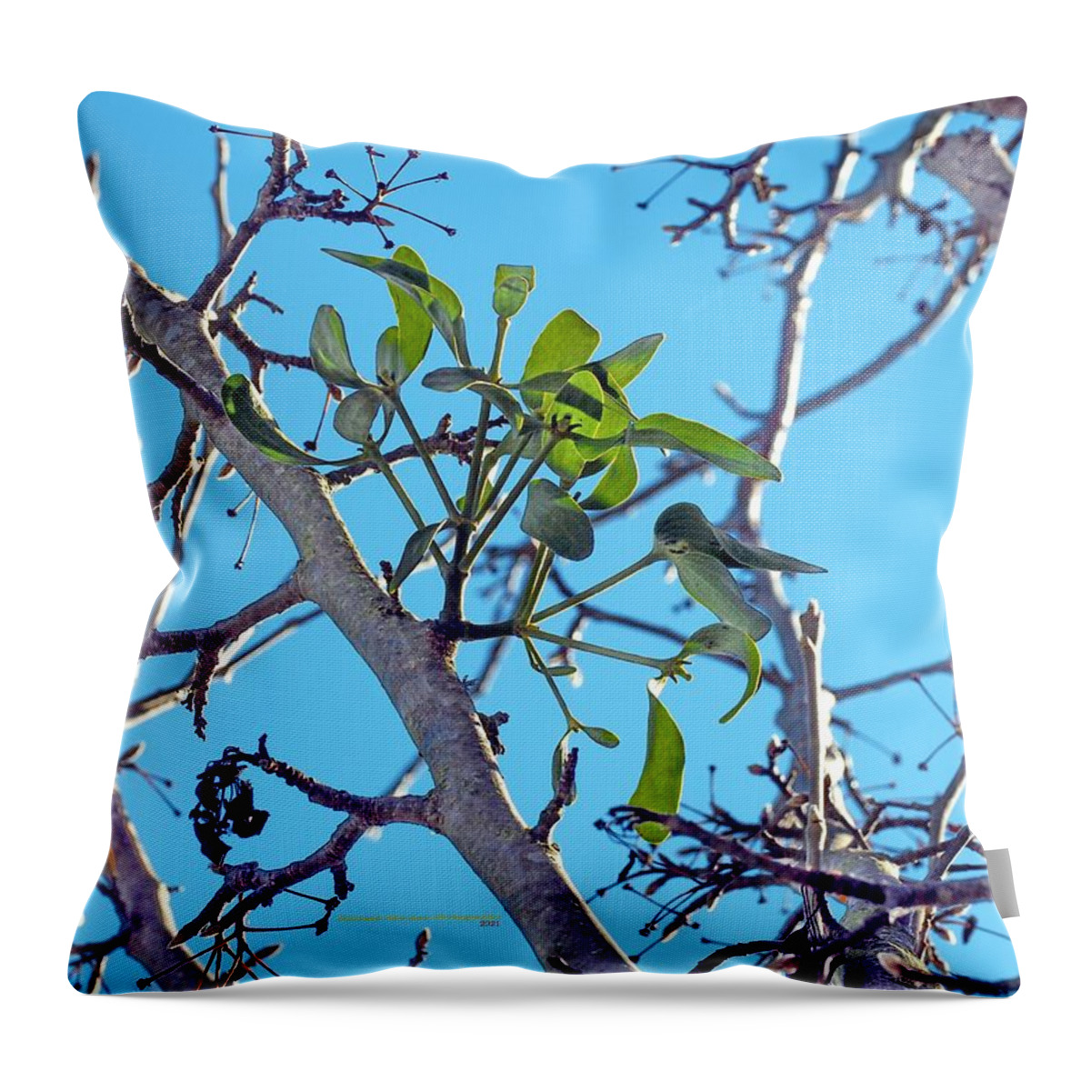Winter Throw Pillow featuring the photograph Kiss Starter by Richard Thomas