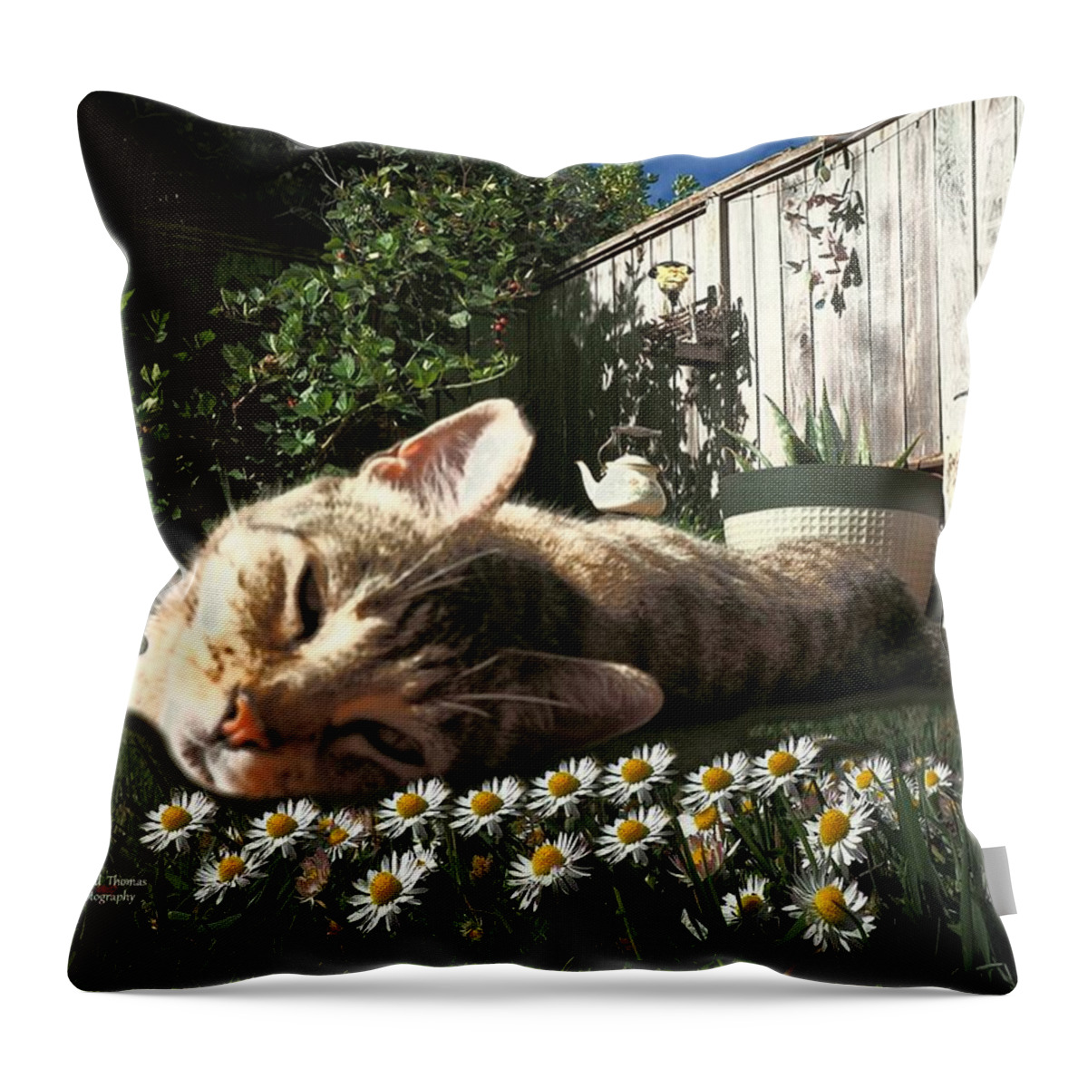 Digital Painting Throw Pillow featuring the photograph Kissy Chamomile by Richard Thomas