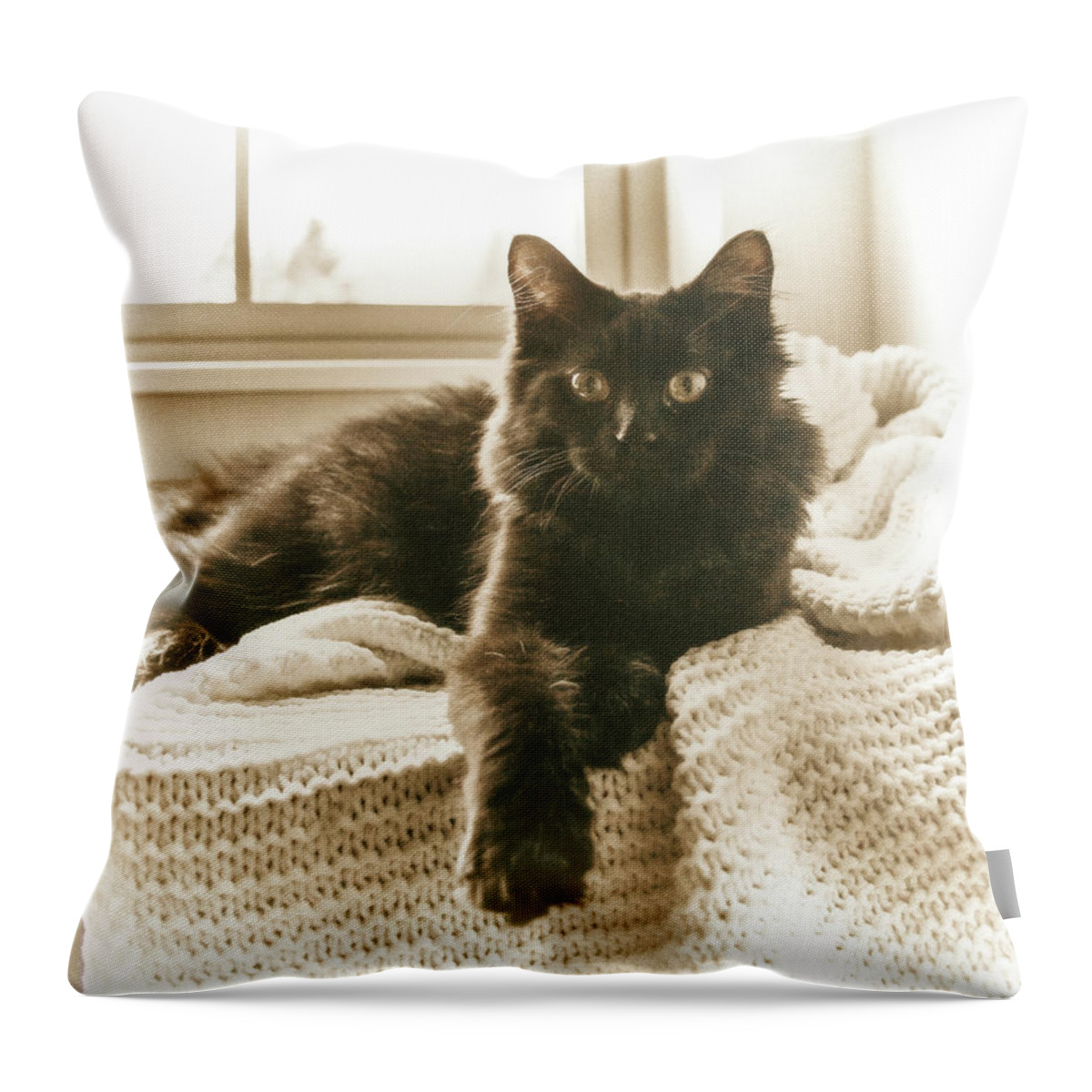 Kitty Throw Pillow featuring the digital art Kitty on a Knit Blanket by Cindy Collier Harris