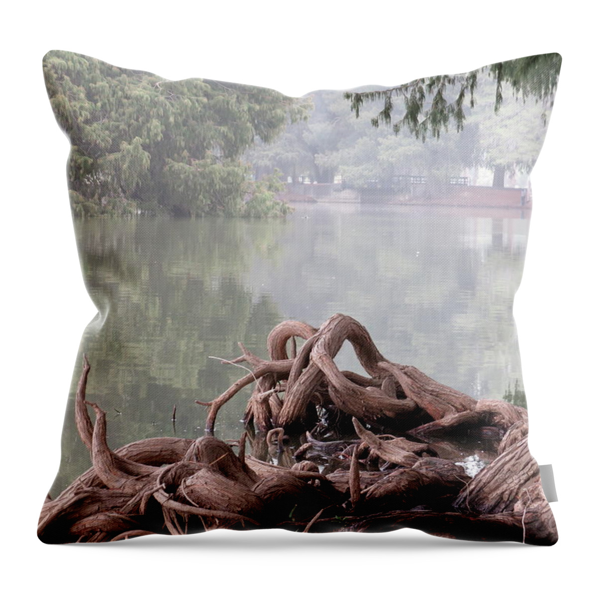  Throw Pillow featuring the pyrography Knarlly Roots by Raymond Fernandez