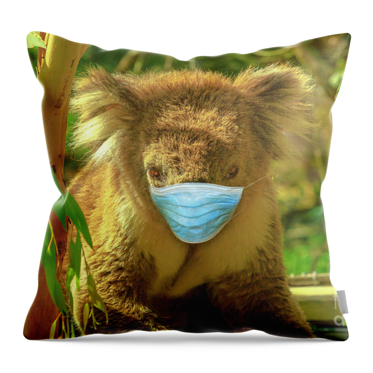 Covid 19 Australia Throw Pillow featuring the photograph Koala With Surgical Mask by Benny Marty