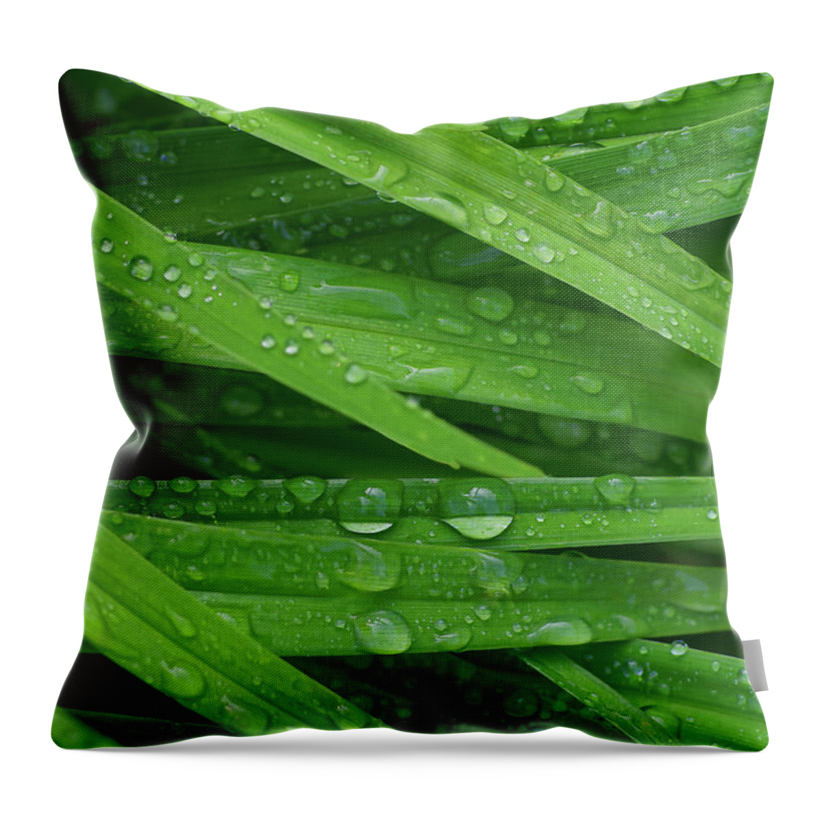 Leaves Throw Pillow featuring the photograph La La Lily Leaves by Kathi Mirto