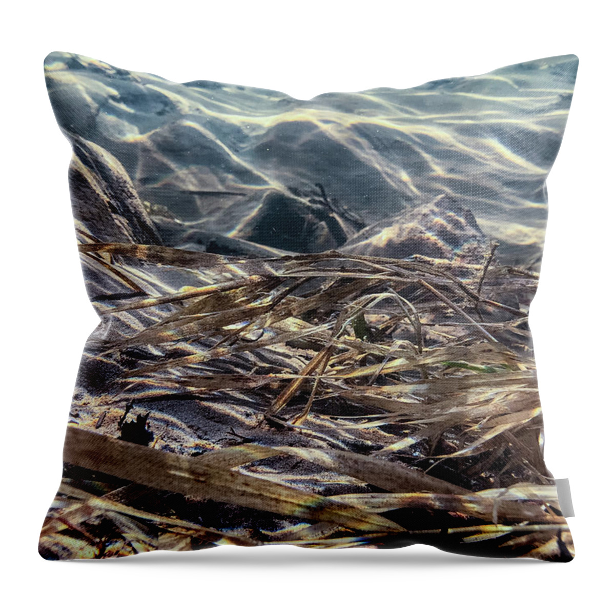 Water Throw Pillow featuring the photograph Lackawaxen River Underwater 1 by Amelia Pearn