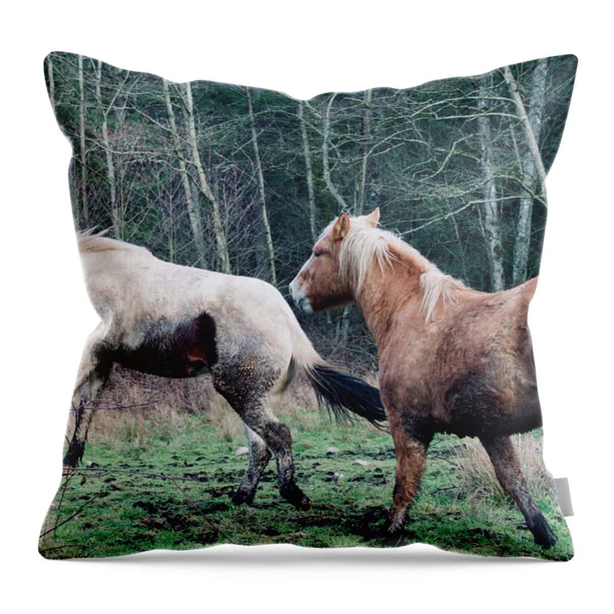 Paint Horse Throw Pillow featuring the photograph Lads Playing by Listen To Your Horse