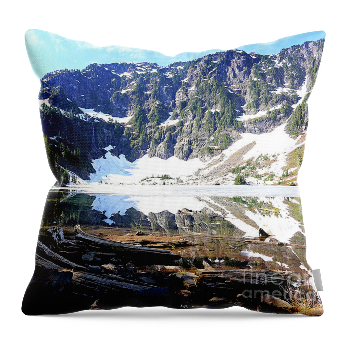 Lake Throw Pillow featuring the photograph Lake 22 by Sylvia Cook