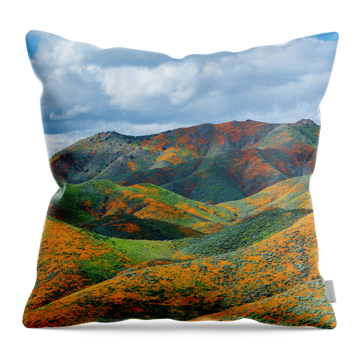 California Poppy Throw Pillow featuring the photograph Lake Elsinore Poppy Hills by Kyle Hanson