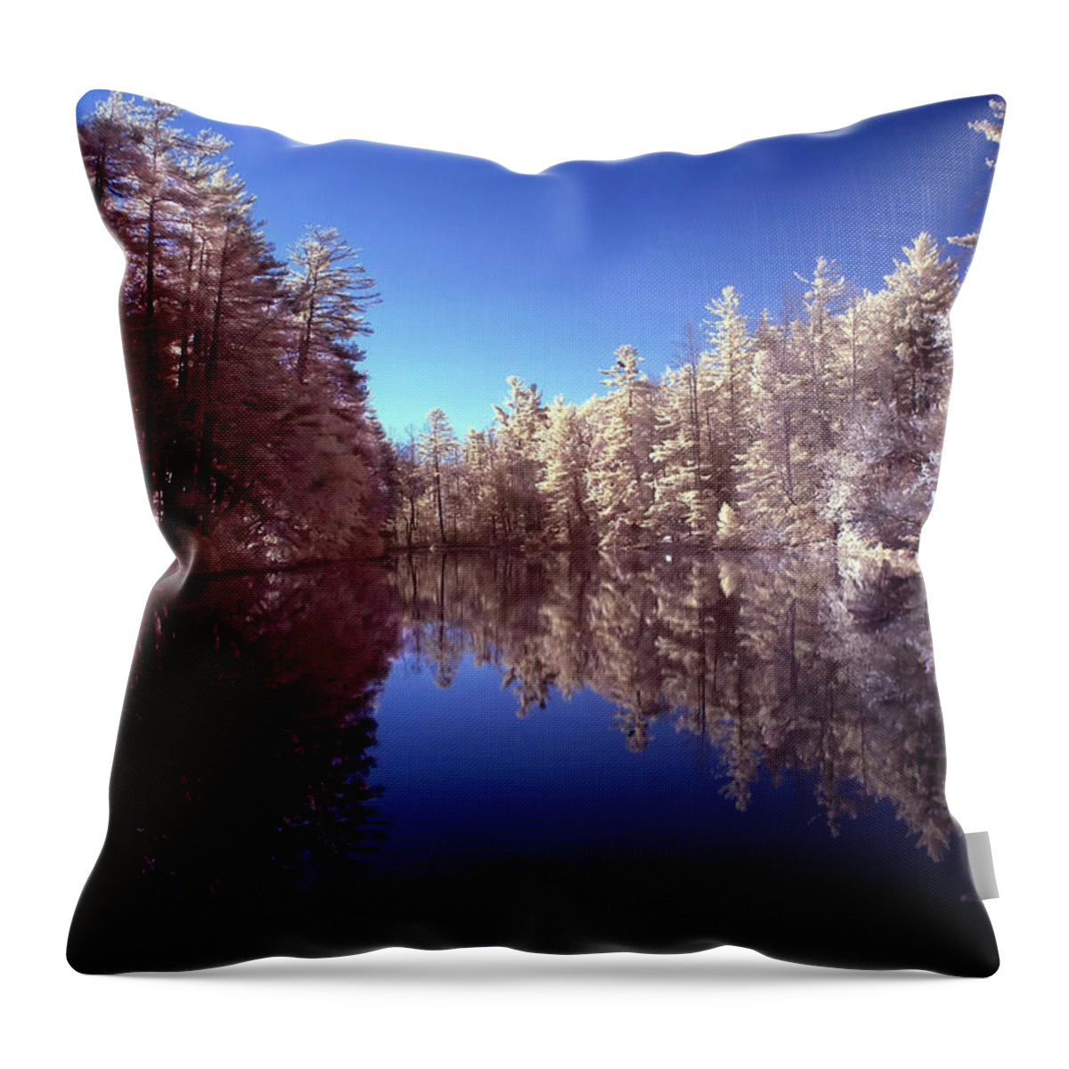 Infrared Throw Pillow featuring the photograph Lake in Infrared by Anthony M Davis