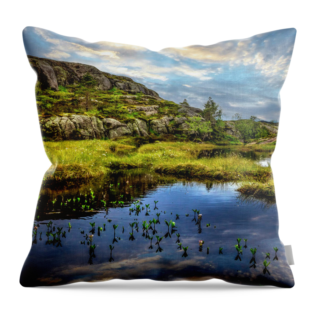 Clouds Throw Pillow featuring the photograph Lake on the Trail to the Pulpit by Debra and Dave Vanderlaan