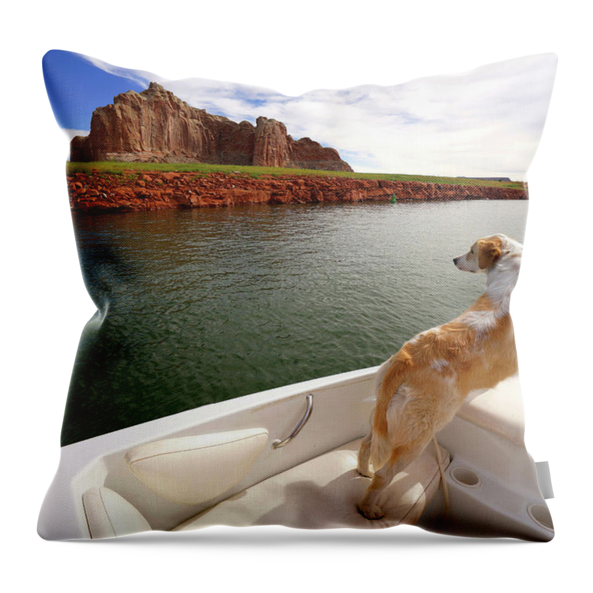 Dog In Boat Throw Pillow featuring the photograph Lake Powell Dog in Boat by Rick Wilking