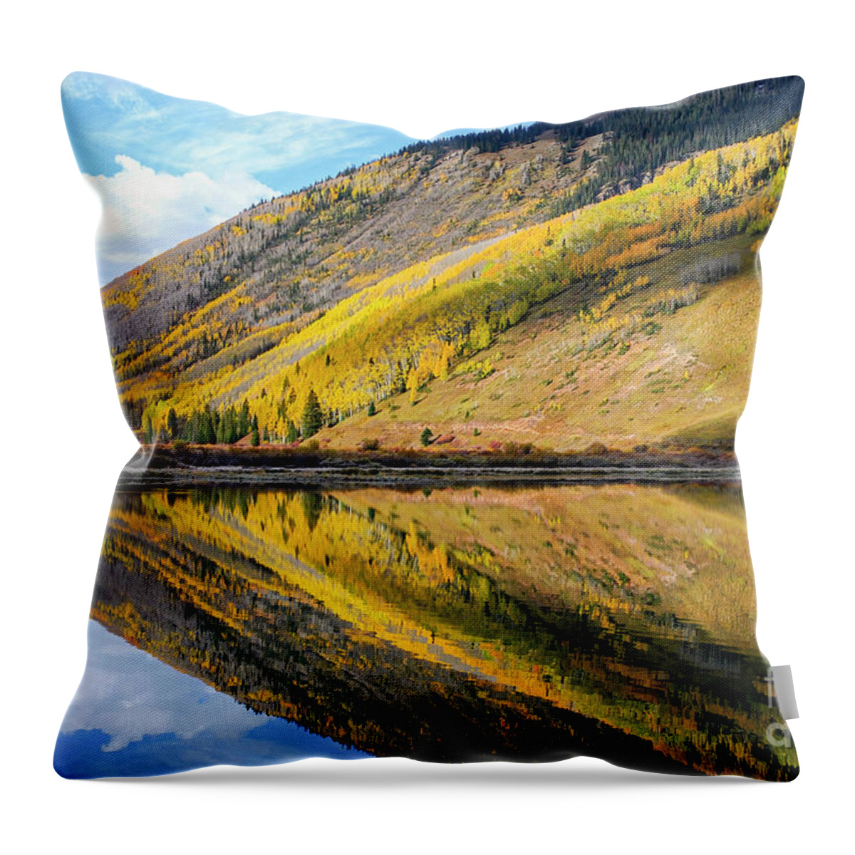 Ouray Throw Pillow featuring the photograph Lake Reflection by Bob Phillips