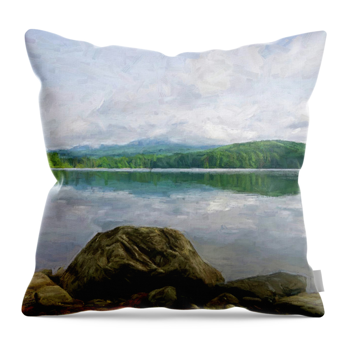 Rock Throw Pillow featuring the photograph Lake Shore in Summer by Nancy De Flon