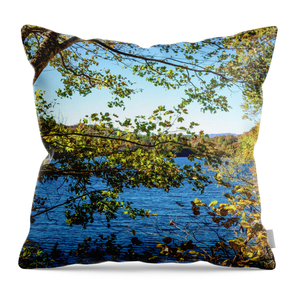 Carolina Throw Pillow featuring the photograph Lakeview by Debra and Dave Vanderlaan