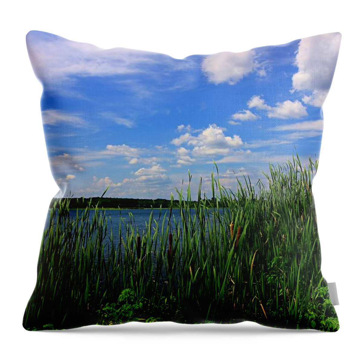 Landscape Throw Pillow featuring the photograph Land, Water and Sky by Mary Walchuck