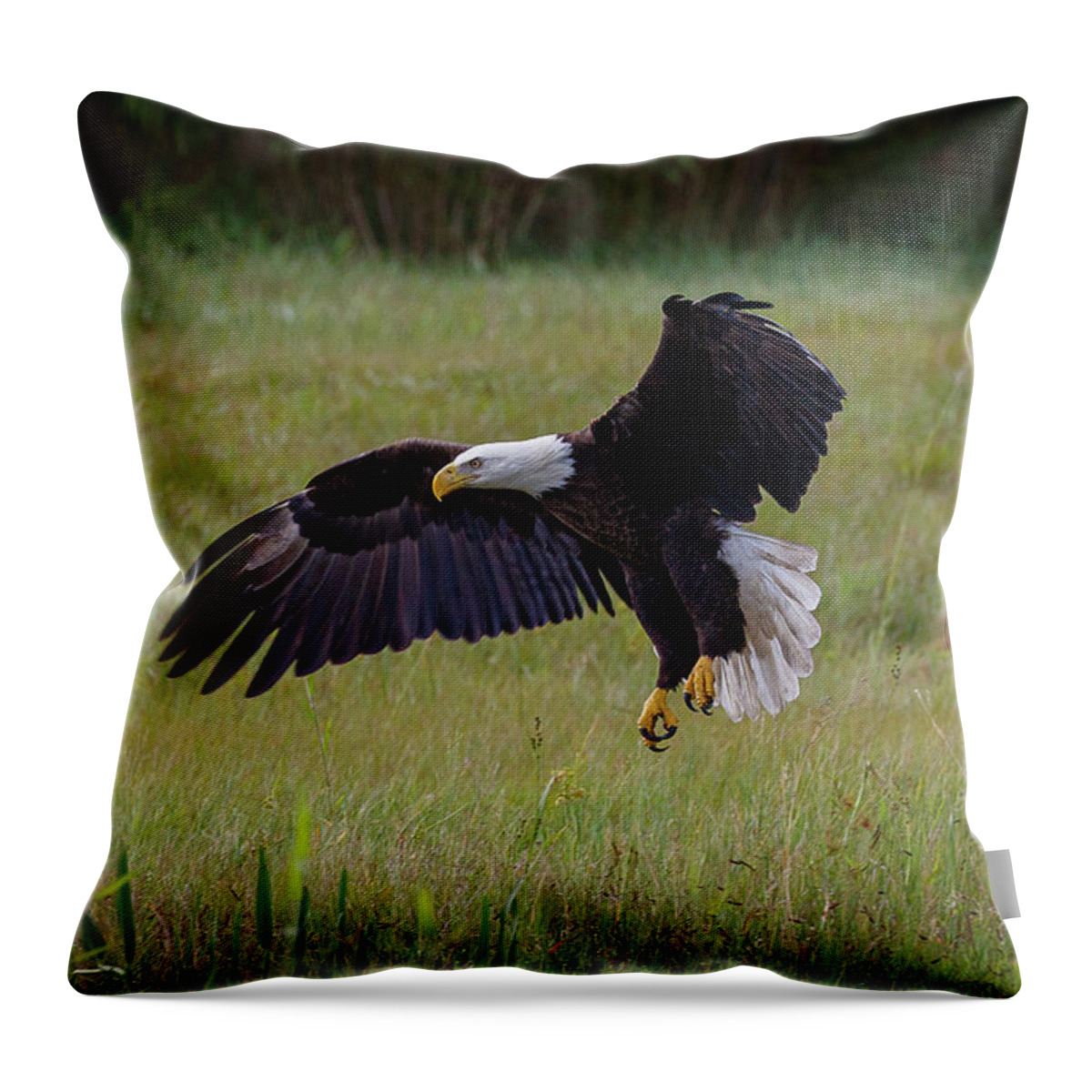 Eagle Throw Pillow featuring the photograph Landing by Les Greenwood