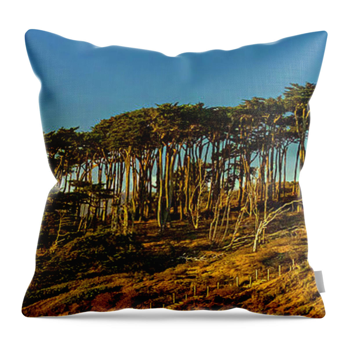 Sutro Heights Park Throw Pillow featuring the photograph Lands End by Greg Reed