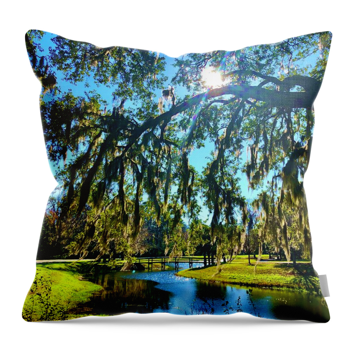 Light Throw Pillow featuring the photograph Landscape 1 by Michael Stothard