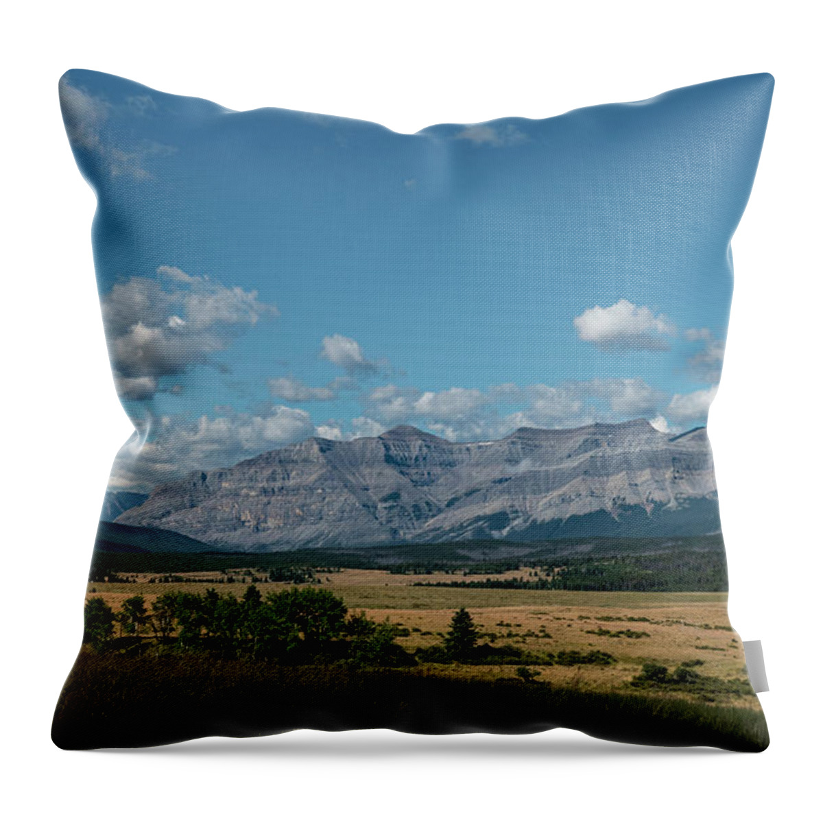 Landscape Throw Pillow featuring the photograph Landscape in the Alberta Rockies by Phil And Karen Rispin