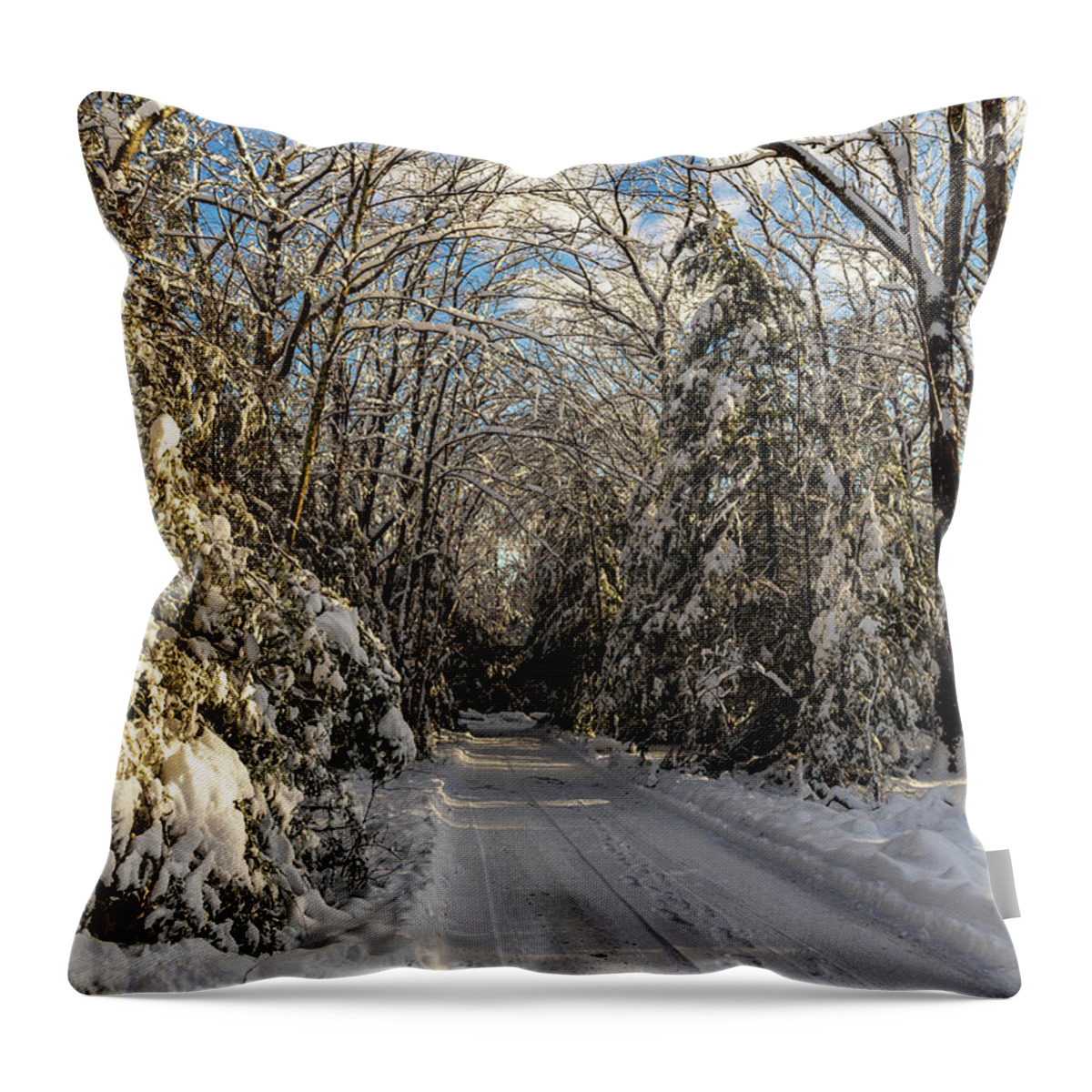 Landscape Throw Pillow featuring the photograph Landscape Photography - Winter Roads by Amelia Pearn