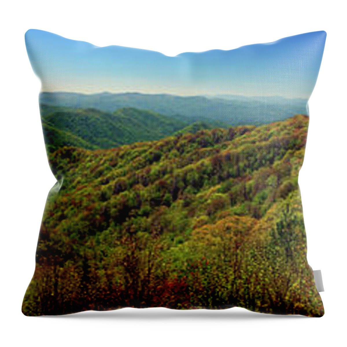 Nature Throw Pillow featuring the photograph Landscape_Smokey Mountains_National Park_IMGL9352 by Randy Matthews