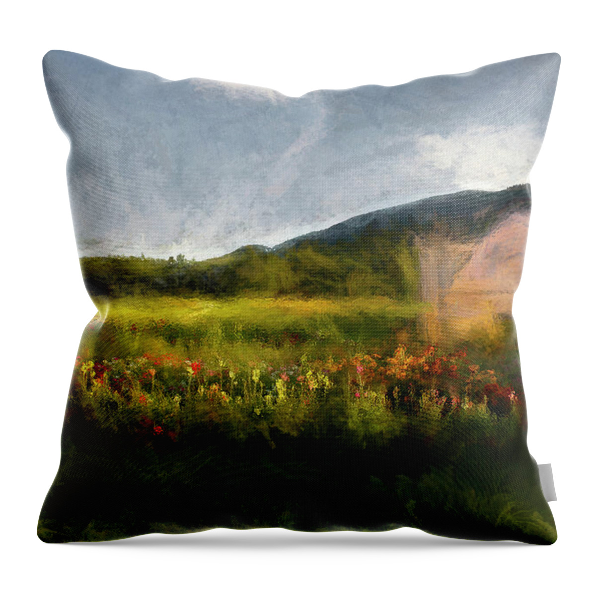 Last Throw Pillow featuring the photograph Last Light on the Greenhouse by Wayne King