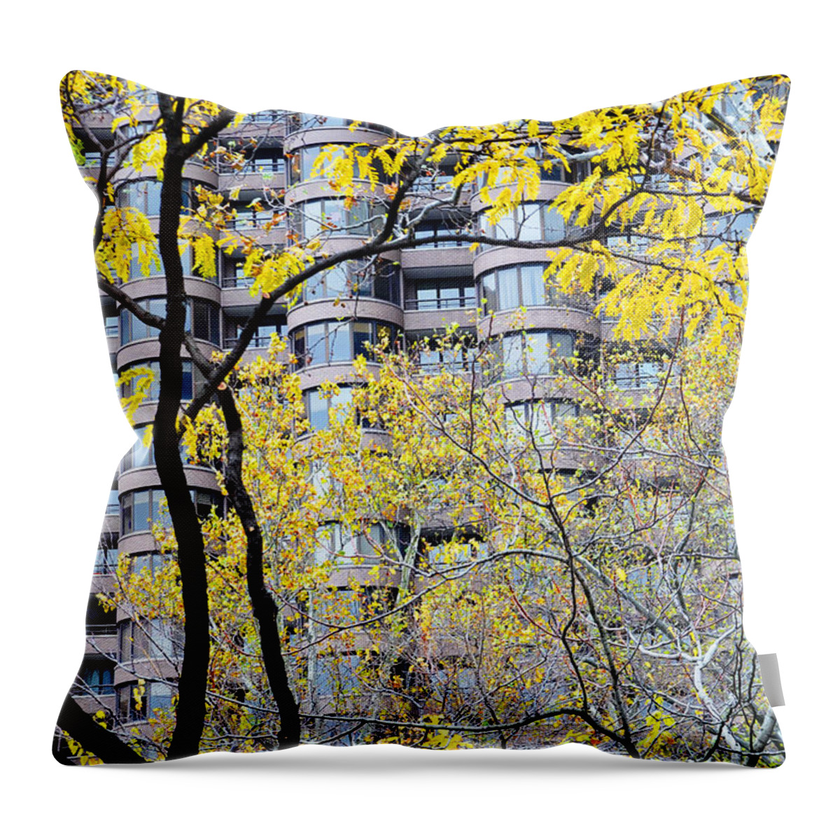Nature Throw Pillow featuring the photograph Late Autumn - A Murray Hill Impression by Steve Ember