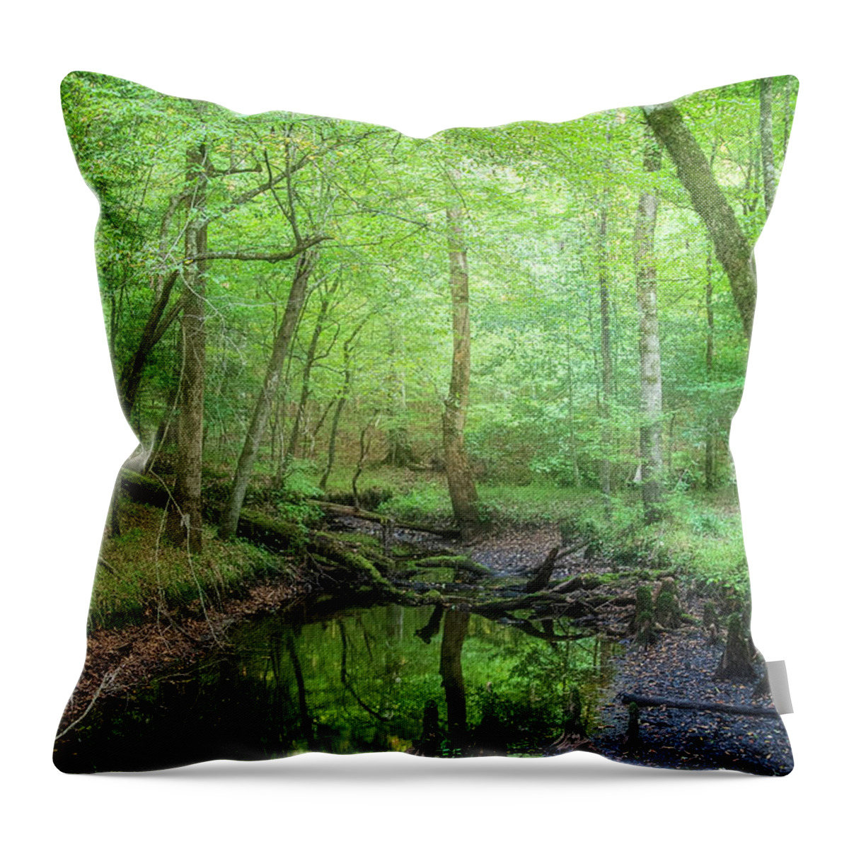 Forest Throw Pillow featuring the photograph Late Summer in the Forest by Bob Decker