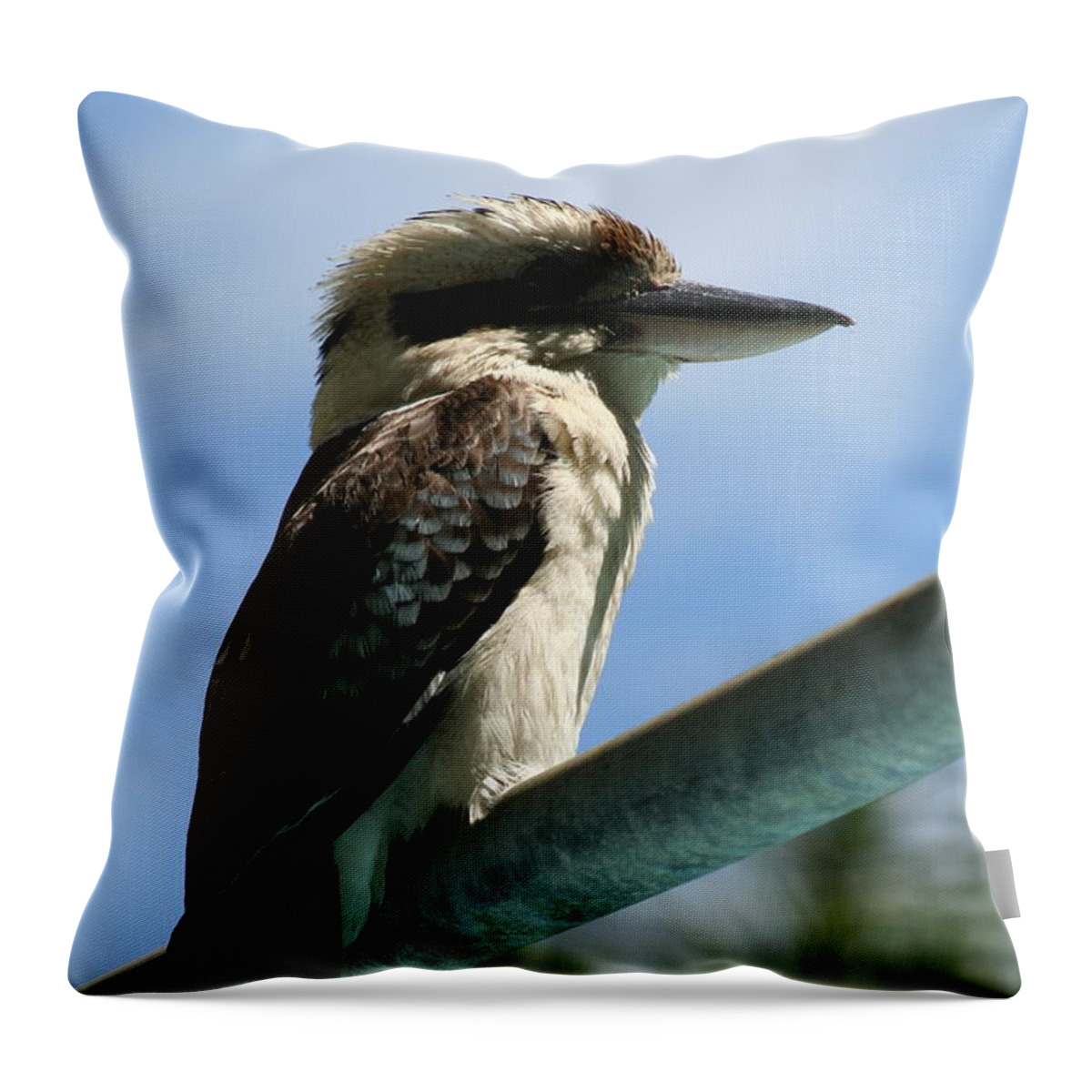 Animals Throw Pillow featuring the photograph Laughing Kookaburra by Maryse Jansen