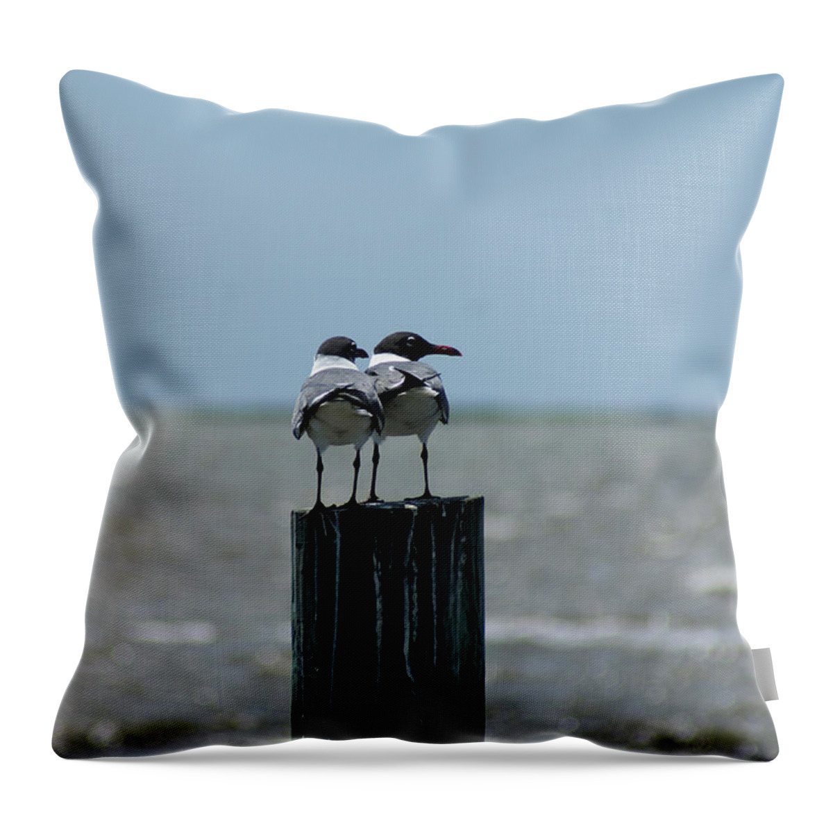  Throw Pillow featuring the photograph Laughing Pair by Heather E Harman