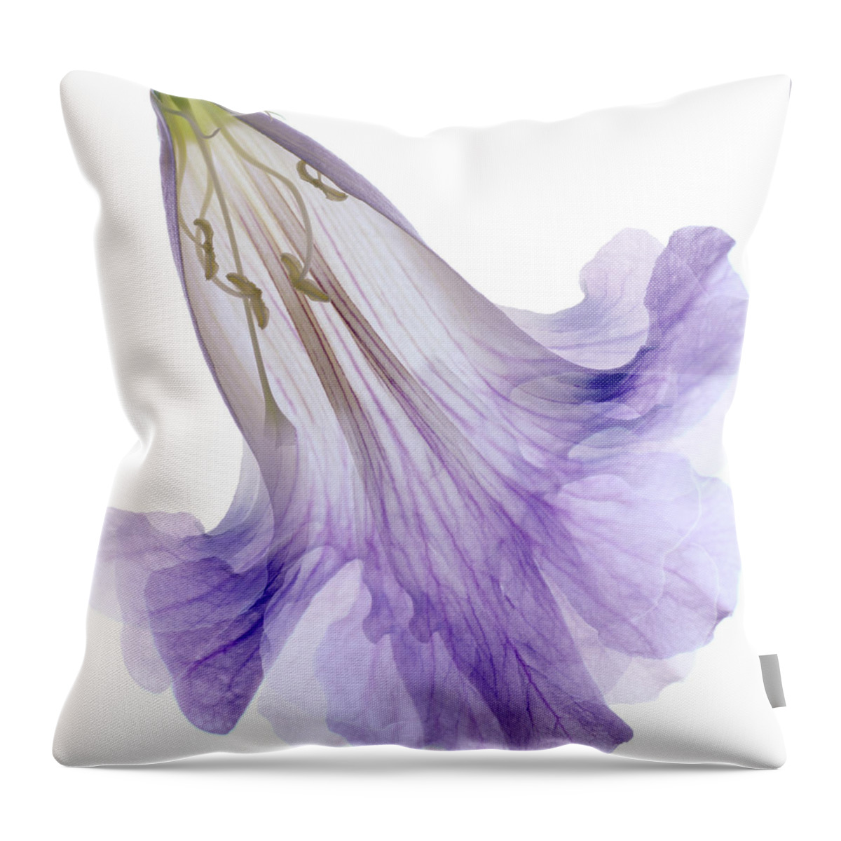 Lavender Throw Pillow featuring the photograph Lavender Crinoline by Marsha Tudor