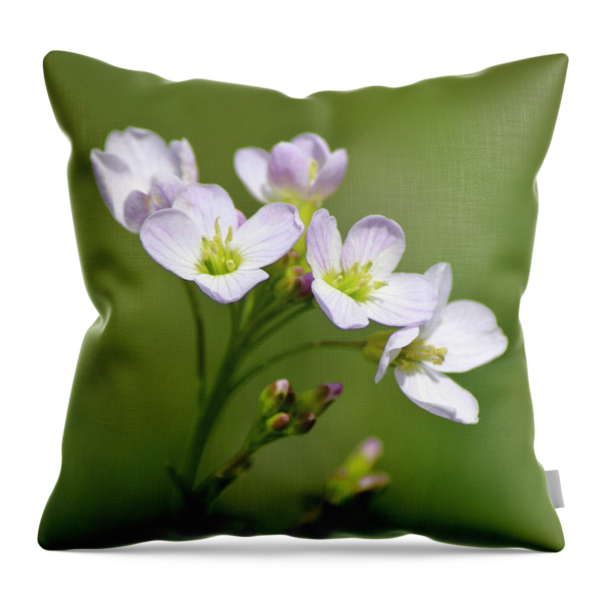Flowers Throw Pillow featuring the photograph Lavender Cuckoo Flower by Christina Rollo