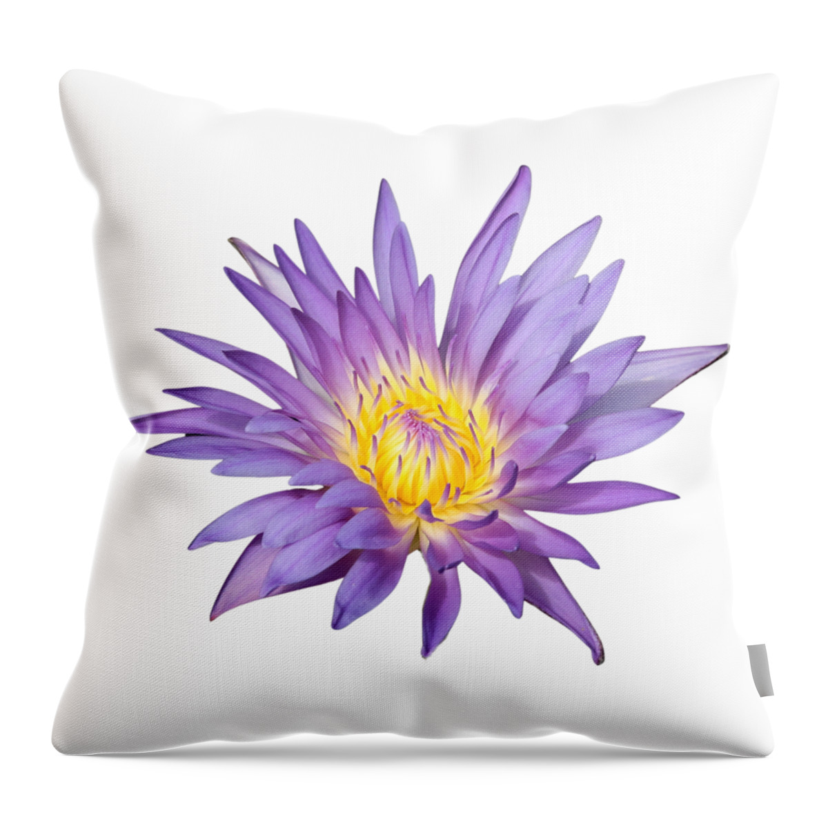 Water Lily Throw Pillow featuring the photograph Lavender Water Lily by Carol Groenen