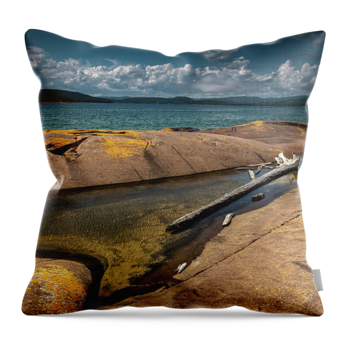 Rocks Throw Pillow featuring the photograph Lazy Logs by Doug Gibbons