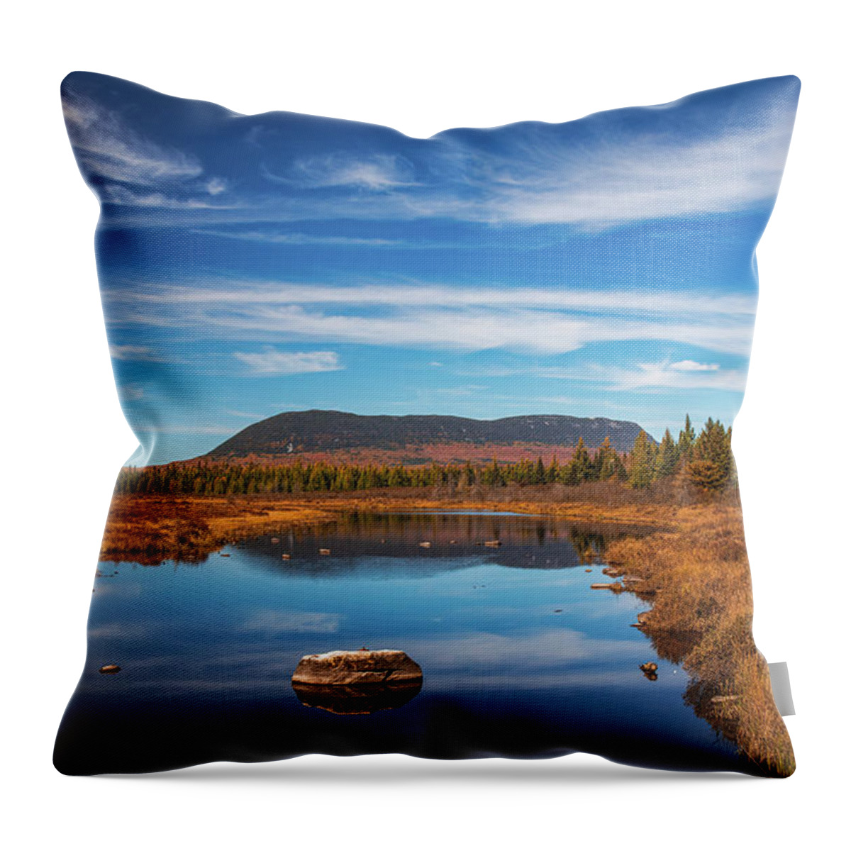 Lazy Tom Bog Maine Throw Pillow featuring the photograph Lazy Tom Bog Maine by Dan Sproul