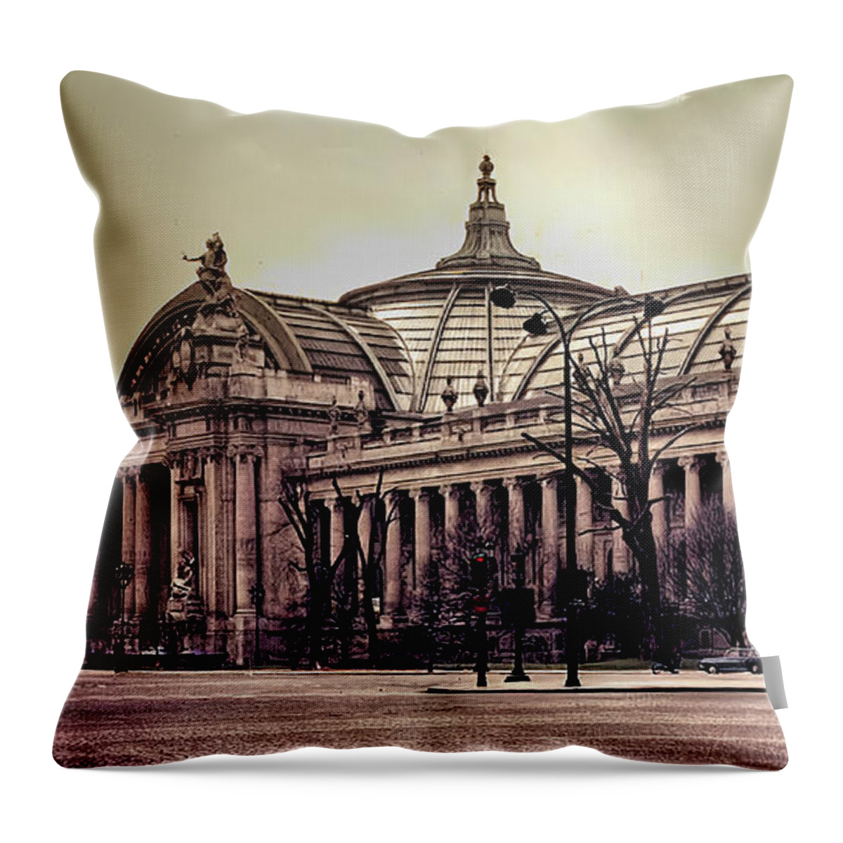 Museum Throw Pillow featuring the photograph Le Musee, Paris by Frank Lee