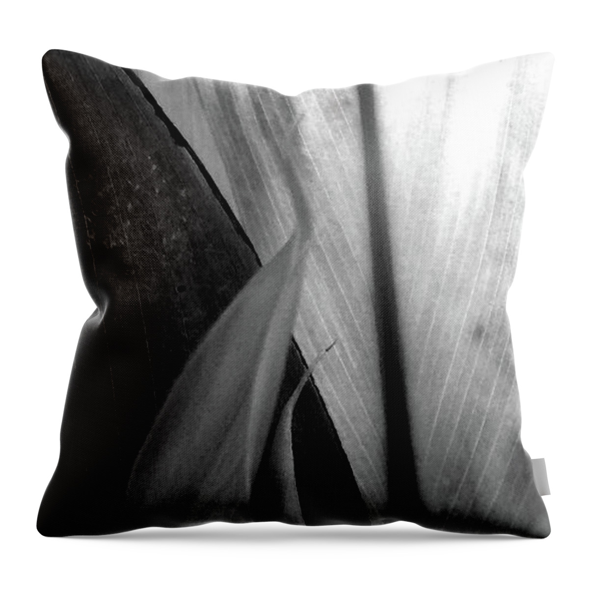 Abstract Throw Pillow featuring the mixed media Leaf Points and Lines Black and White by Sharon Williams Eng