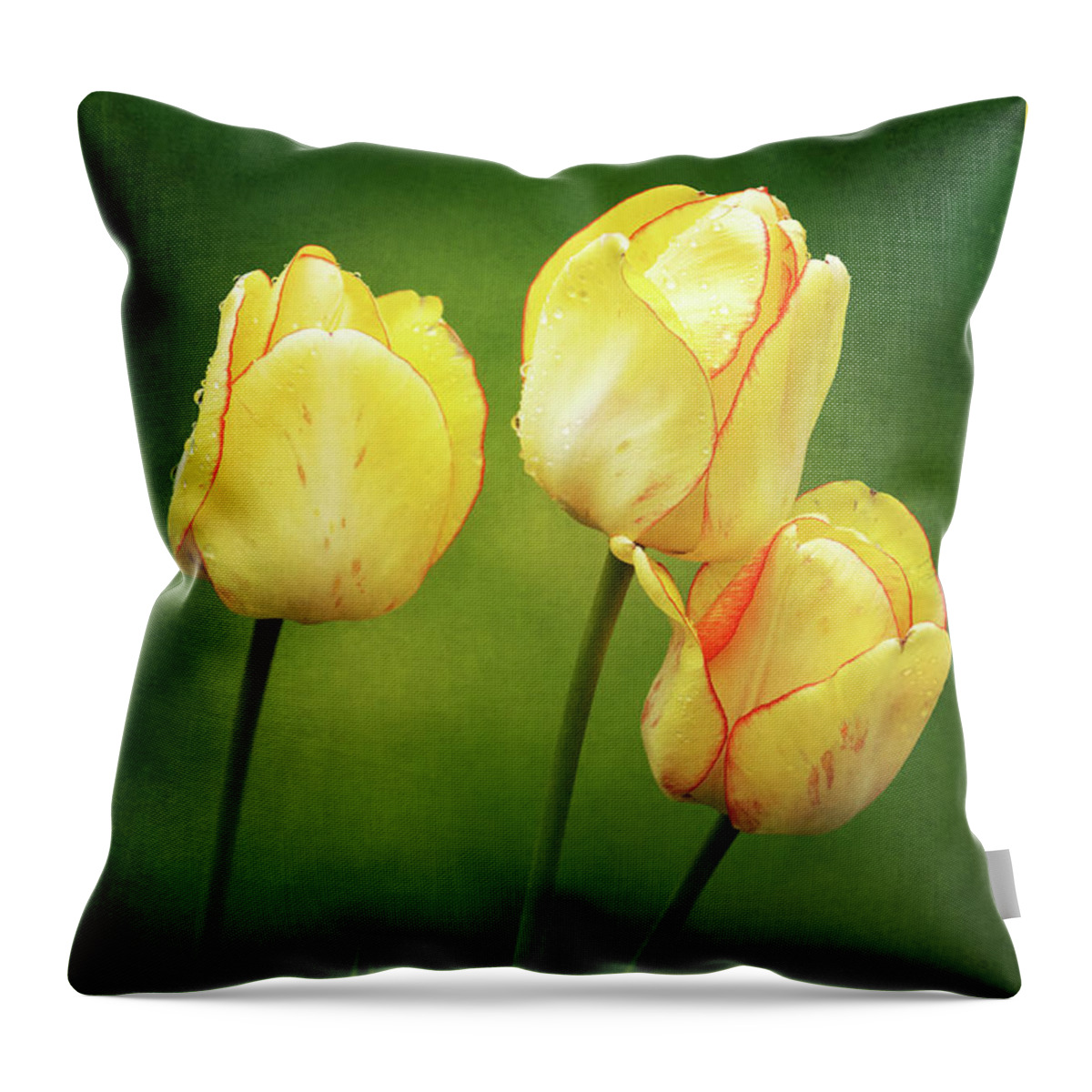Beauty Of Spring Throw Pillow featuring the photograph Lean on Me by Anita Pollak