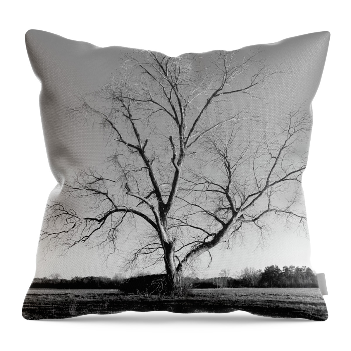 Leafless Tree Throw Pillow featuring the photograph Leafless Tree by Mike McGlothlen